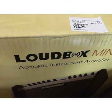 Custom Fishman Loudbox Mini 2017 Brand New