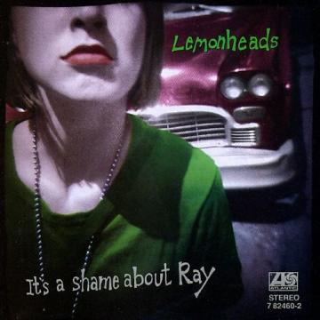 Custom Lemon heads Its A Shame About Ray Music Book