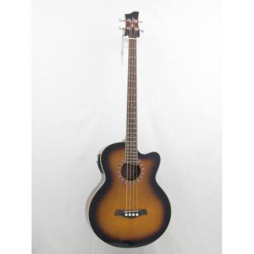 Jay Turser Model JTAB-650ATB Acoustic Bass Guitar