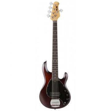 NEW STERLING S.U.B. SERIES RAY5-WS/R WALNUT SATIN 5 STRING ELECTRIC BASS GUITAR