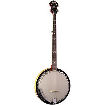 Washburn B9 Banjo Sunburst