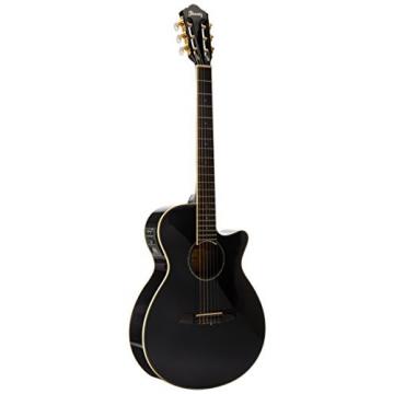 Ibanez AEG10NII Nylon String Cutaway Acoustic-Electric Guitar Black