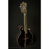 Custom Weber 20th Anniversary Yellowstone F Mandolin #1 small image