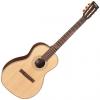 Custom Vintage VE8000PB Paul Brett Signature Guitar 6 String Acoustic With Case #1 small image