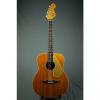 Custom 1968-71 Fender Palomino Acoustic Guitar with HSC #1 small image