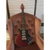 Custom Brian May Red Special