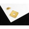 Custom Allparts Jackplate for Les Paul Gold w/ Screws AP 0633-002