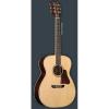 New Washburn WSD5240SK Solo Deluxe Acoustic Guitar With Hardshell Case #1 small image