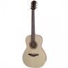 New Hohner Elspplus Essential Plus Parlor Acoustic Guitar Natural #1 small image