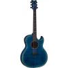 New Exhibition FM Thin Body Acoustic Electric Guitar With Aphex #1 small image