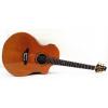 In Stock - All Solid Master Grade Double Top Acoustic Guitar Model Artist B Free Fiberglass Case