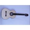 Custom Shop Fan Fretted Acoustic Guitar AG100