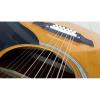 Custom Shop EKO Full Size 12 String Acoustic Guitar #4 small image