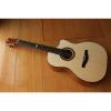 Custom Shop Fan Fretted Acoustic Guitar AG300