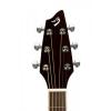 Breedlove Model Stage C25/SRe Acoustic Electric Guitar W/ Hard Case