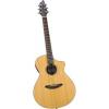 Breedlove Atlas Solo C350/CRE Model Cedar Top Acoutic Guitar With Hard Case