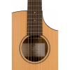 Breedlove Model Passport C250/COE Acoustic Electric Guitar WITH Gigbag