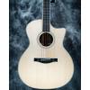 Custom Eastman E8D 41'Non Cutaway Solid Body with Ebony Fingerboard Acoustic Guitar #4 small image