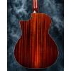 Custom Eastman E8D 41'Non Cutaway Solid Body with Ebony Fingerboard Acoustic Guitar #2 small image