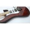 Custom Shop Schecter Flame Maple Top Red Wine Electric Guitar