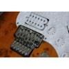 Custom Shop Deadwood Floyd Rose Tremolo Stratocaster Electric Guitar #5 small image