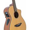 Breedlove Model Solo C350/CMe Acoustic Electric Guitar With Hard Case