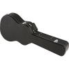 Fender Tim Armstrong Hellcat Acoustic Guitar Case #1 small image