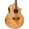 Ibanez EW2012ASENT 12-String Exotic Wood Acoustic-Electric Guitar Gloss Natural #1 small image