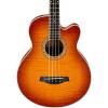 Ibanez AEB20E Acoustic-Electric Bass Guitar Gloss Vintage Violin #1 small image