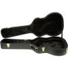 Ibanez AEG10C Hardshell Case for AEG Guitars #1 small image