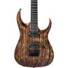 Ibanez RGA Iron Label RGAIX6U 6-string Electric Guitar Antique Brown Stained #1 small image