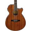Ibanez AEG12II-NT Acoustic-Electric Guitar Natural #1 small image