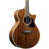 Ibanez AE Series AE245NT Acoustic-Electric Guitar Natural #1 small image