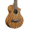 Ibanez EWP14OPN Exotic Wood Piccolo Acoustic Guitar Natural #1 small image