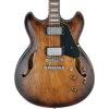 Ibanez Artcore Vintage Series ASV10A Semi-Hollowbody Electric Guitar Tobacco Burst Low Gloss #1 small image