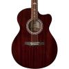 PRS Se Angelus A10 Rosewood Fretboard with Bird Inlays Acoustic-Electric Guitar Tortoise Shell #1 small image