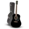 Epiphone DR-100 Acoustic Guitar Black with Road Runner RRDWA Case #1 small image