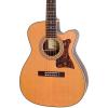 Epiphone Masterbilt EF-500RCCE Fingerstyle Acoustic-Electric Guitar Matte Natural #1 small image
