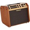 Fishman Limited Edition Mahogany Loudbox Artist 120W 1x8 Acoustic Guitar Combo Amplifier Wood