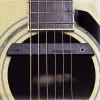 Fishman Rare Earth Single-Coil Soundhole Guitar Pickup
