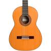 Cordoba 45MR Nylon String Acoustic Guitar CD/MR Natural