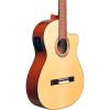 Cordoba Fusion 12 Natural Spruce Classical Electric Guitar Natural Spruce Top #1 small image