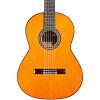 Cordoba C10 Parlor CD Nylon String Acoustic Guitar Natural