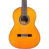 Cordoba C9 Parlor Nylon String Acoustic Guitar Natural
