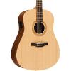 Seagull Walnut Acoustic-Electric Guitar