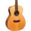 Washburn Woodlline Series WLO100SWEK Orchestra Acoustic-Electric Guitar Natural #1 small image