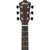 Ibanez AEW31BC - Open Pore Natural