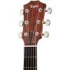 Taylor 300 Series 324ce-LH Grand Auditorium Left-Handed Acoustic-Electric Guitar #5 small image