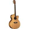 Washburn WJ55SCENS Willie K Signature Acoustic-Electric Guitar, Natural Satin #1 small image