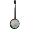 Washburn Banjo, 5 String #1 small image